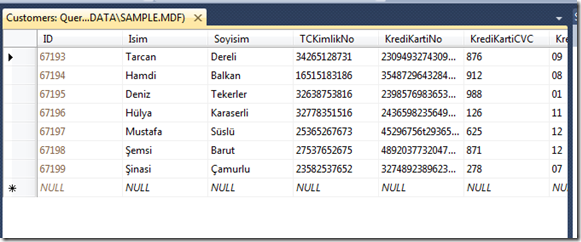 sql-injection-demo-project-data-view-for-sql-database-structure